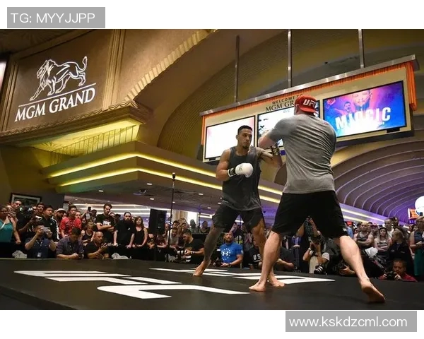 挑战极限勇者汇聚UFC终极斗士真人秀带你领略真实搏击之美 挑战极限勇者汇聚UFC终极斗士真人秀带你领略真实搏击之美